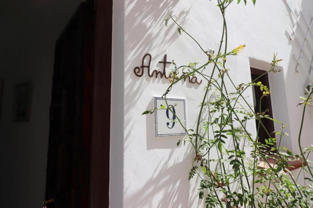 Antana Villa ฟรีฮิเลียนา ภายนอก รูปภาพ